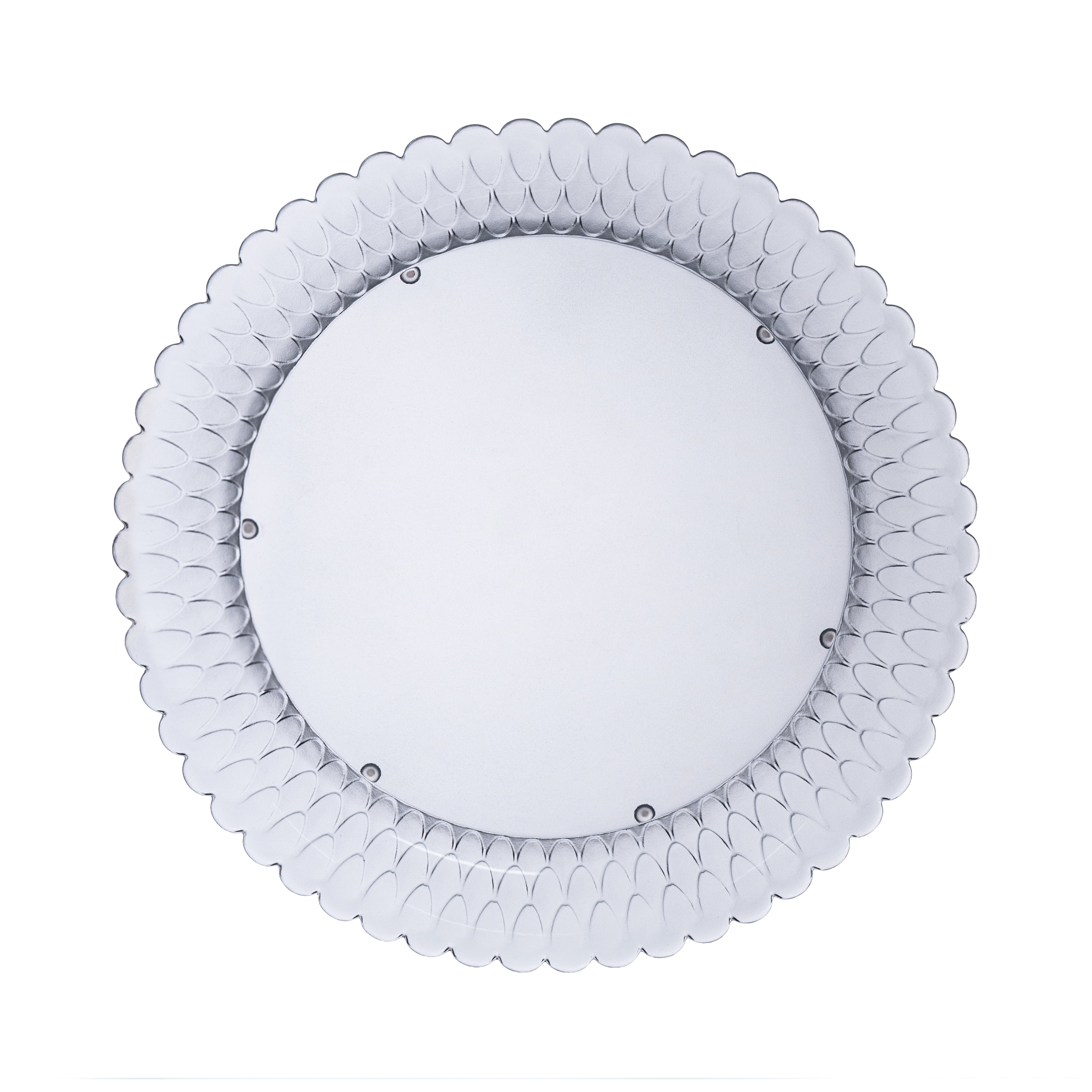 Scale Tray